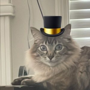 Meet your Posher, Kahle